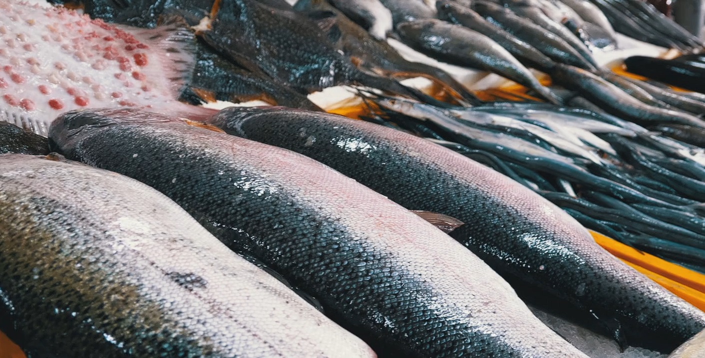 Av alle dyr som blir holdt for matproduksjon, er det blant laks det er størst svinn. Det er snakk om mange millioner laks som dør før de når slaktestørrelse og ender opp i fiskedisken.